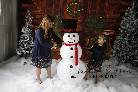 2019 Holiday Mini Session - Necci