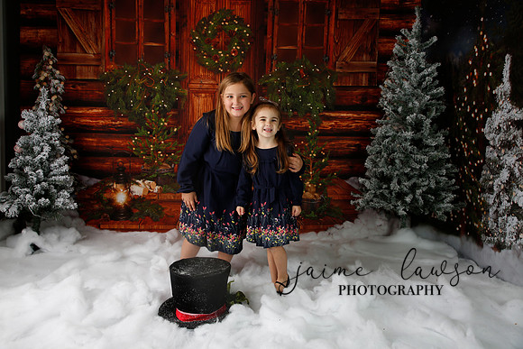 2019 Holiday Mini Session - Necci