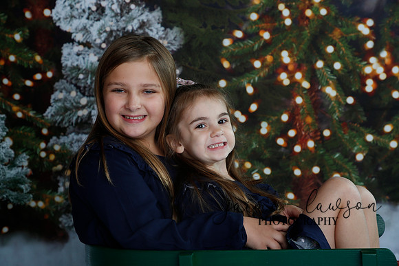 2019 Holiday Mini Session - Necci