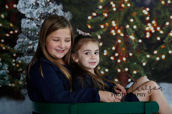 2019 Holiday Mini Session - Necci