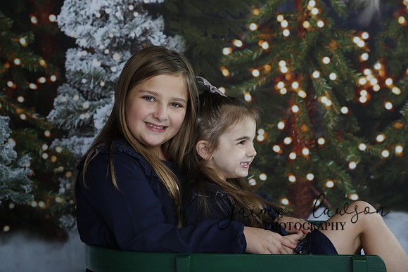 2019 Holiday Mini Session - Necci