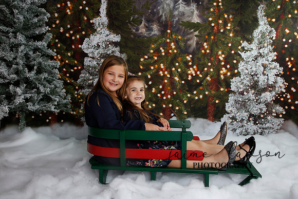 2019 Holiday Mini Session - Necci