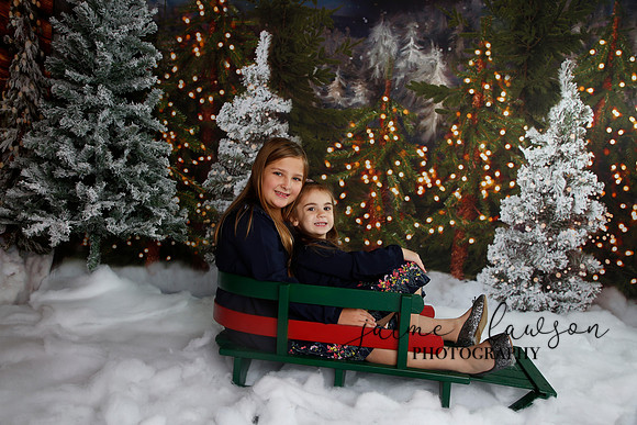 2019 Holiday Mini Session - Necci