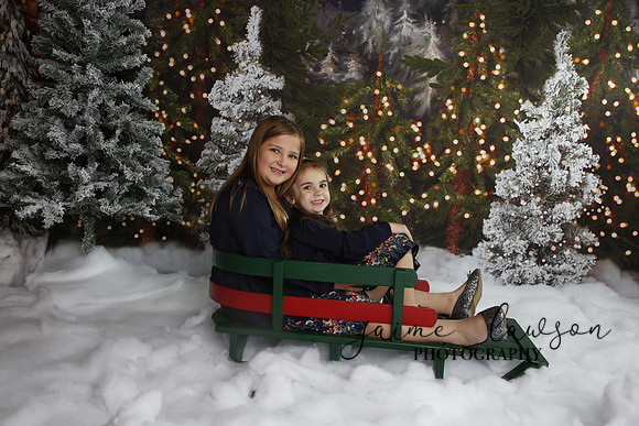 2019 Holiday Mini Session - Necci