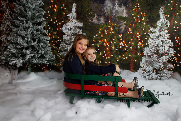 2019 Holiday Mini Session - Necci