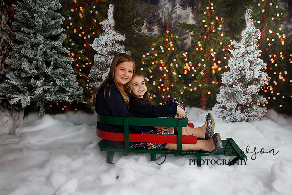 2019 Holiday Mini Session - Necci