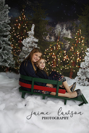 2019 Holiday Mini Session - Necci