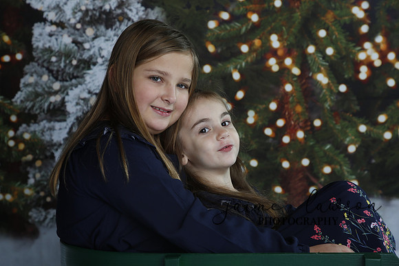 2019 Holiday Mini Session - Necci