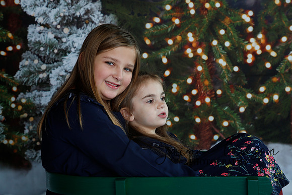 2019 Holiday Mini Session - Necci