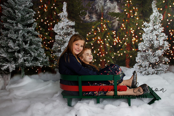 2019 Holiday Mini Session - Necci