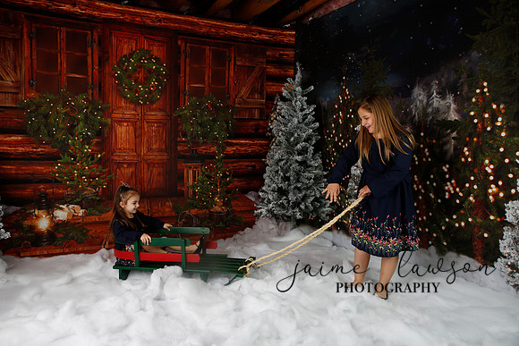2019 Holiday Mini Session - Necci