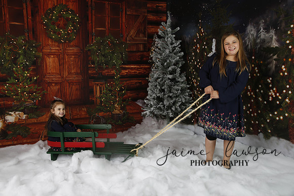 2019 Holiday Mini Session - Necci