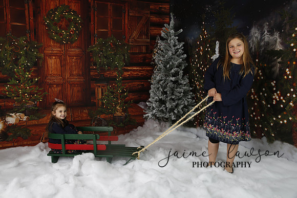 2019 Holiday Mini Session - Necci