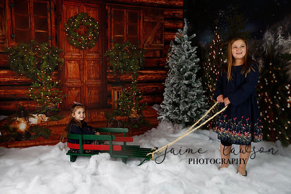 2019 Holiday Mini Session - Necci