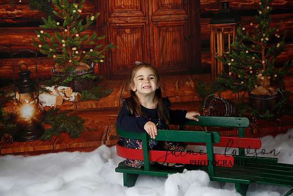 2019 Holiday Mini Session - Necci