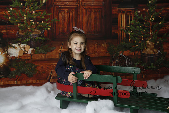 2019 Holiday Mini Session - Necci