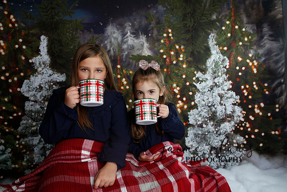 2019 Holiday Mini Session - Necci