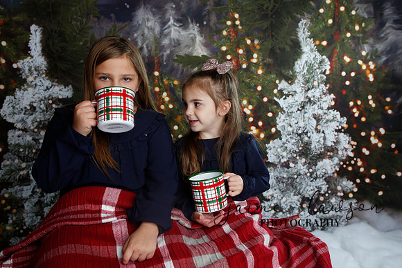2019 Holiday Mini Session - Necci