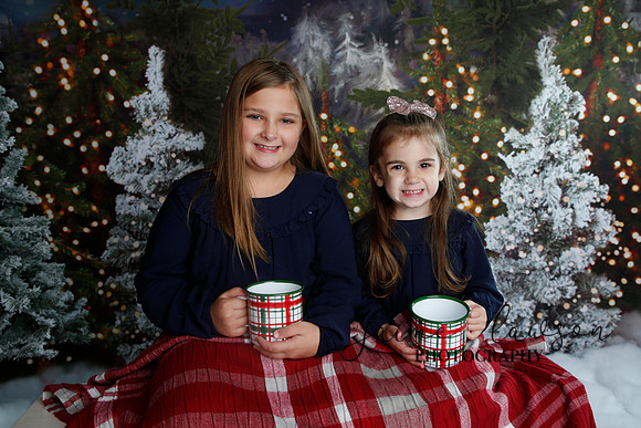 2019 Holiday Mini Session - Necci