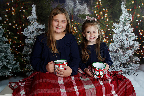 2019 Holiday Mini Session - Necci