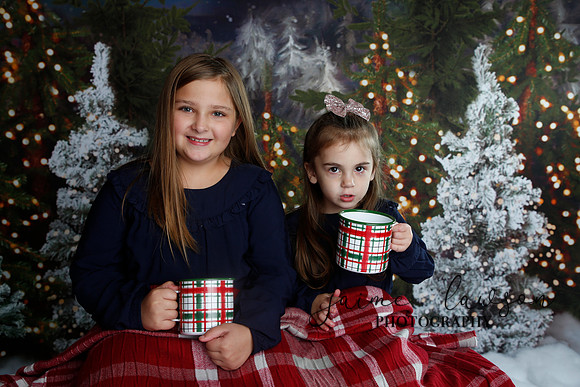2019 Holiday Mini Session - Necci