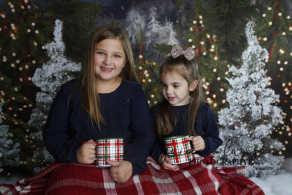 2019 Holiday Mini Session - Necci