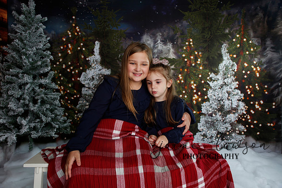 2019 Holiday Mini Session - Necci