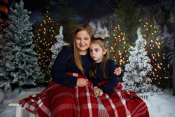 2019 Holiday Mini Session - Necci