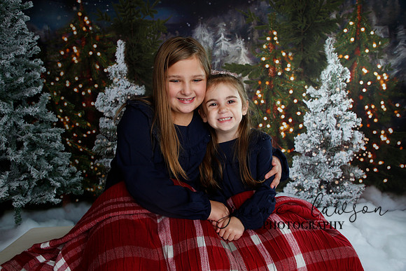 2019 Holiday Mini Session - Necci
