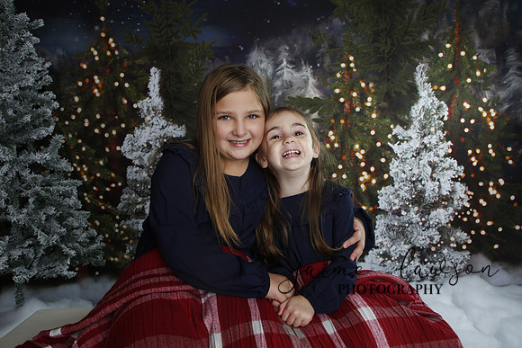 2019 Holiday Mini Session - Necci
