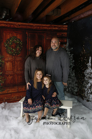 2019 Holiday Mini Session - Necci