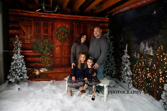 2019 Holiday Mini Session - Necci