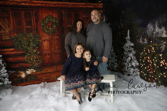 2019 Holiday Mini Session - Necci