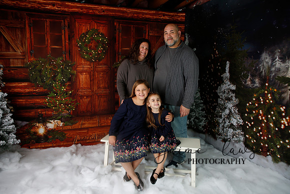 2019 Holiday Mini Session - Necci