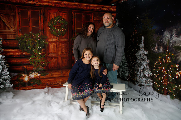 2019 Holiday Mini Session - Necci