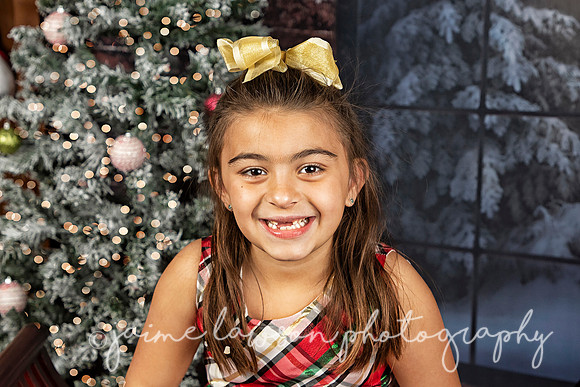 2021 Holiday Mini Session