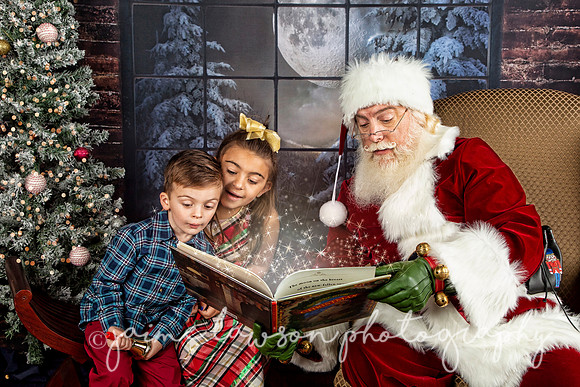 2021 Holiday Mini Session