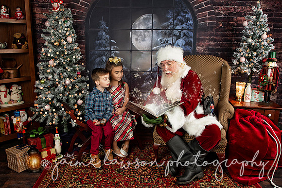 2021 Holiday Mini Session