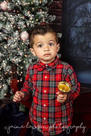 2021 Holiday Mini Session