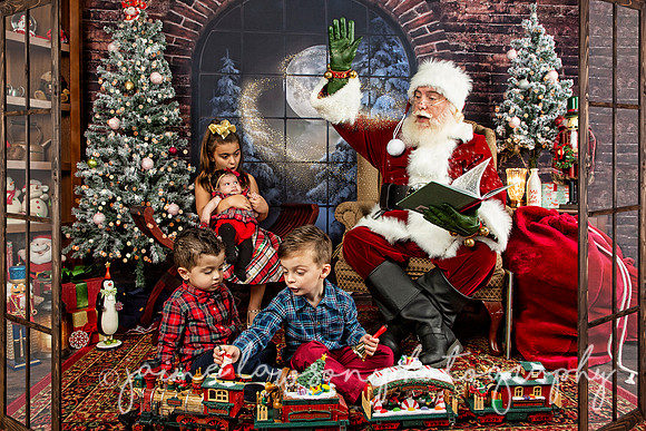 2021 Holiday Mini Session