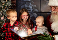 2021 Holiday Mini Session