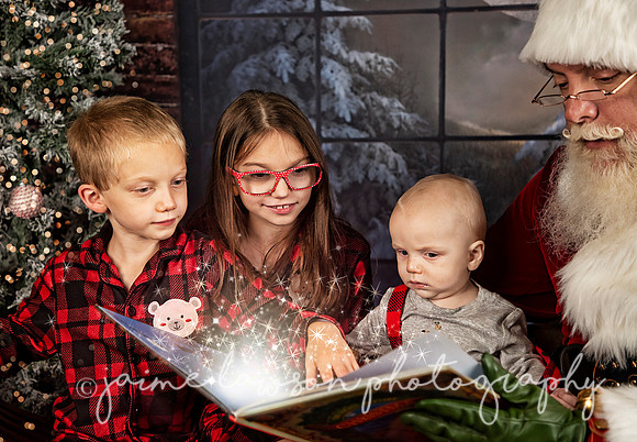 2021 Holiday Mini Session