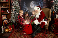 2021 Holiday Mini Session