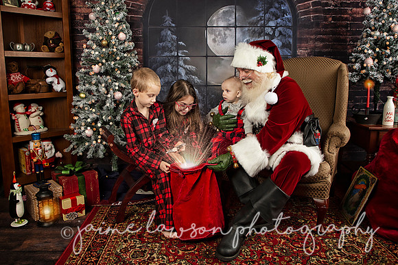 2021 Holiday Mini Session