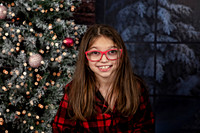 2021 Holiday Mini Session
