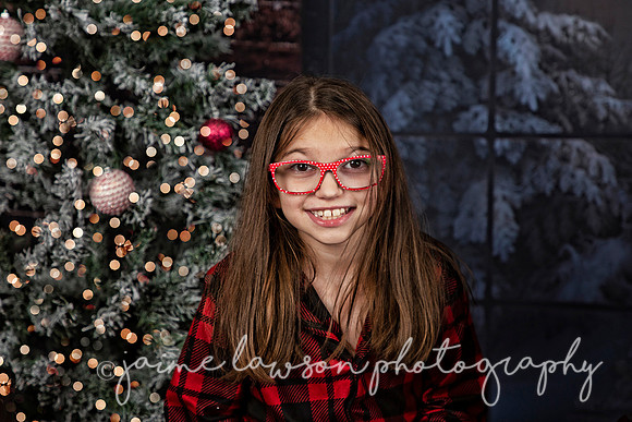 2021 Holiday Mini Session