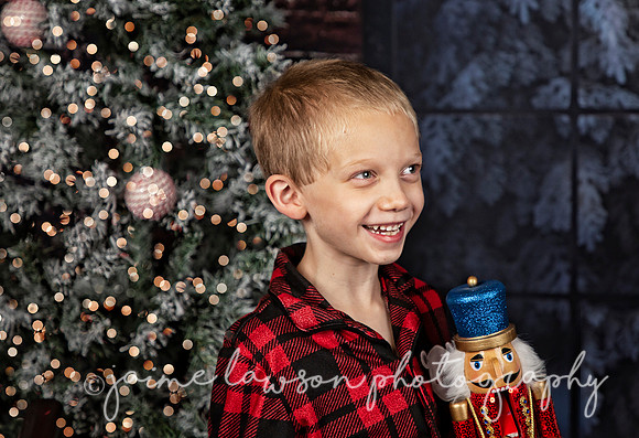 2021 Holiday Mini Session