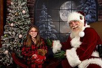 2021 Holiday Mini Session