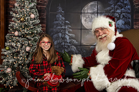 2021 Holiday Mini Session