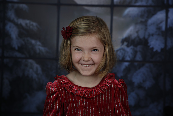 2021 Holiday Mini - Holl